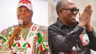 How Peter Obi betrayed Atiku ahead of 2023 polls, fresh facts emerge