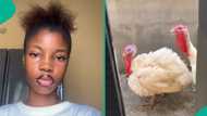 "How did they get in here?" Lady cries out after seeing 2 live turkeys in her compound