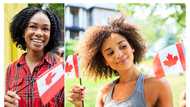 Canada opens new visa applications for carpenters, plumbers, welders, others from Nigeria