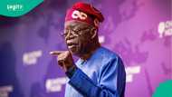 Full list of ministers in Tinubu’s cabinet eyeing governorship seats ahead of 2027 election, may resign