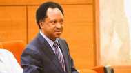 Yaran Kankara: Shehu Sani ya bai wa FG shawara a kan yadda za ta bai wa makarantu kariya