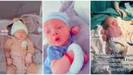 "One of a kind": Nigerian woman delivers baby boy with blonde hair and blue eyes, video trends on TikTok