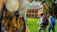 Nigerian university giving students free food? Fact Surfaces