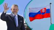 Slovakia explains only 1 way foreigners can acquire the country's citizenship