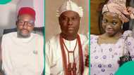 "What did he do to him?" Playful moment Ooni of Ife asked Taaooma to punch Jigan