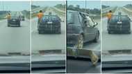 Unbelievable! Viral video of a man hanging on a car, while cow sit inside the car stirs reactions online
