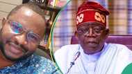 Chicago university: Why Tinubu cannot be accused of forgery, fresh twist as Kperogi makes u-turn