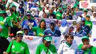 World Food Day 2024: A call to sustainable agriculture and food security