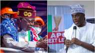 Blame Tinubu “if Amaechi decides to rejoin PDP”, powerful APC leader reveals top secret