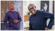 "Nigerian youths have abandoned Peter Obi": PDP governor's aide declares, suffers harsh criticisms