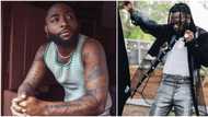 "I'm disappointed in Burna Boy for not posting Davido's album": Podcast host says, sparks heated reactions