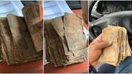 Money smells so bad": Nigerian man shows 'rotten' naira notes he got from bank, people react to viral video