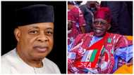 Former Senate president finally opens up, explains why he's supporting Tinubu