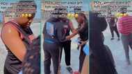 Angry lady catches father red-handed surprising his side chick on Valentine's day, reacts in video