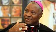 2023 election: Prominent Catholic bishop sends strong message to Christians in Nigeria