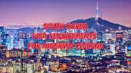 Travel tips: South Korea visa requirements for Nigerian Citizens