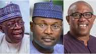 INEC reacts to report claiming results from IReV portal shows Peter Obi defeated Bola Tinubu in Rivers state