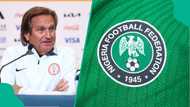 Fresh FIFA World Cup scandal rocks NFF after American coach speaks out, video