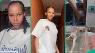 POS attendant shows how she caught her colleague stealing business money from her drawer, many react
