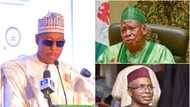 List: El-Rufai, Zulum, other top northern politicians pushing for southern president in 2023