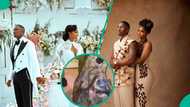 JP 2025: Video of men struggling to carry money made at wedding trends, "I can see why Kamo stole"