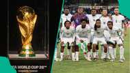 Nigeria backed to beat Gabon and Cameroon to 2026 World Cup ticket ahead of playoffs