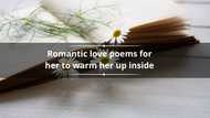 50+ romantic love poems for her to warm her up inside