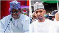 Why Zamfara Governor Matawalle ‘sacrificed’ his deputy, aide makes stunning revelations