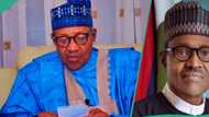 'Yan Najeriya su na da wuyar sha'ani' Buhari ya bayyana abu 1 da jawo matsala a gwamnatinsa