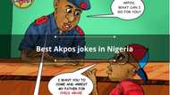 Top 10 best Akpos jokes in Nigeria to tell a friend