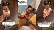 "Our bilingual queen": Baby learns sign language, refuses to talk, her mother insists in trending TikTok video