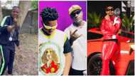 “Una never blow una dey find percentage”: Warriboy slams Carter Efe and Berri Tiga compares them to Asake