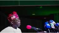 2023 Elections: Tinubu sends powerful message to govs-elect, demands one thing