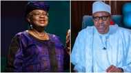 President Buhari nominates Okonjo-Iweala for top position