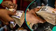 CBN data shows money supply above N100 trillion amid cash scarcity in banks
