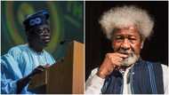 Tinubu's Presidency: Wole Soyinka Makes 1 Demand From President-Elect
