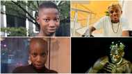 "Emanuella and Portable dey disguise": Nigerians compare BBNaija's Hermes and Allysyn to comedian and singer