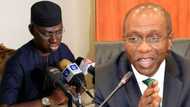 CBN cashless policy: Timi Frank writes US, UK, EU, World Bank, IMF, says Emefiele is not safe