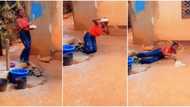 "This is a disaster": Excited lady falls and scatters party cake, video emerges on TikTok and goes viral