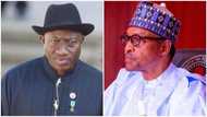 APC ticket: Presidency reveals Buhari's position on Jonathan’s presidential bid