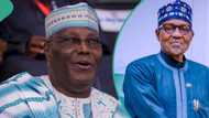 "Atiku na shirya wani abu": 'Dan takaran PDP ya ziyarci Buhari a Daura