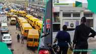 New fuel price: Transport companies adjust fares, NBS shows 10 most expensive state to take a bus