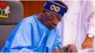 FG speaks on introducing tuition fees after President Bola Tinubu signed students' loan bill into law