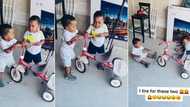 "I don tire for these 2": Mum of twins cries out as her sons fight each other over one bicycle, fall down in video