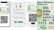 NIN: Stress-free steps to download NIMC mobile app, print national identity card online (photo)