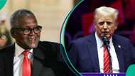 Dangote reacts to Donald Trump’s tariff as crude oil falls to lowest in 4 years