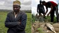 "I regret this business": Nigerian man buys truckload of yams N20 each from Makurdi, sells at loss in Lagos