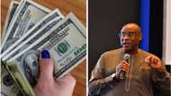 “Demand is overwhelming”: CBN to intervene, pump more dollars into market