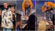 See as body sweet am: Reactions as female fan almost fainted after sharing microphone with Davido during show