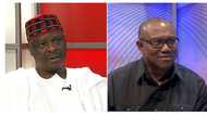 Majan LP da NNPP: Sai dai Peter ya zama mataimaki, Kwankwaso shugaba, inji NNPP